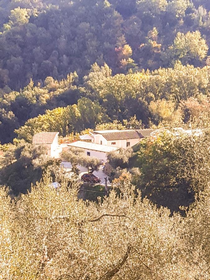 La Dimora Degli Angeli Bed & Breakfast Perugia Luaran gambar